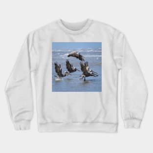 Brown Pelicans Take Flight Crewneck Sweatshirt